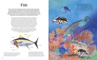 Sample content_ILLU ENCY OF OCEAN LIFE