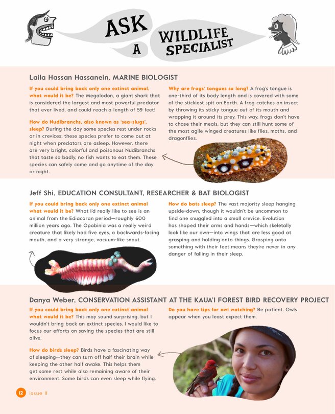 Aperçu du contenu_Illustoria: For Creative Kids And Their Grownups