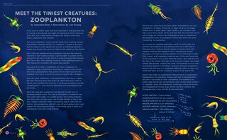 Aperçu du contenu 2_Illustoria: For Creative Kids And Their Grownups