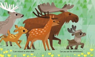 Aper&ccedil;u du contenu_I'm a Reindeer