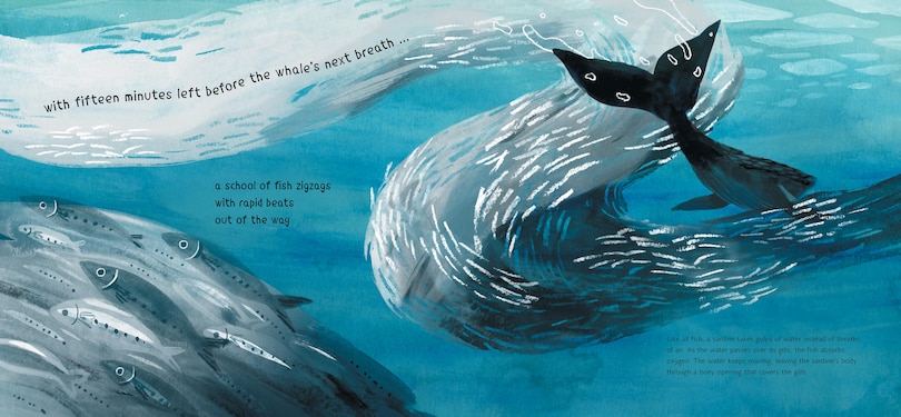 Aper&ccedil;u du contenu 3_In One Whale's Breath