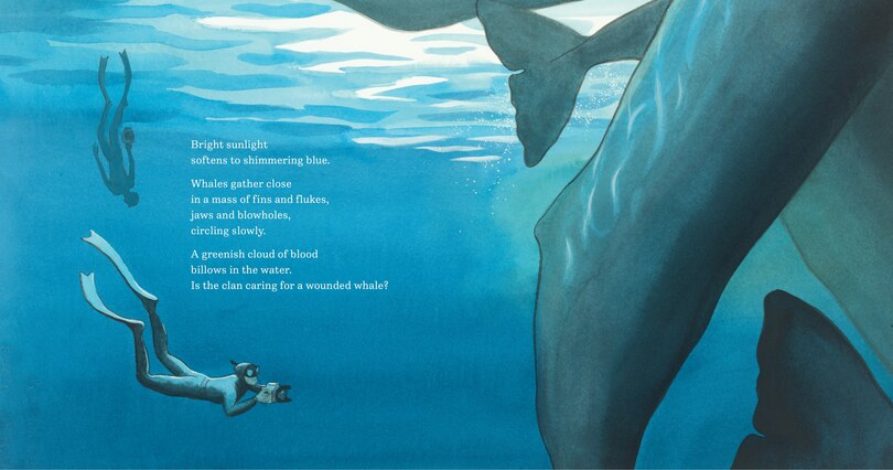 Sample content_In the World of Whales