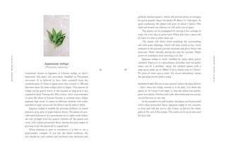 Sample content 4_Indigo