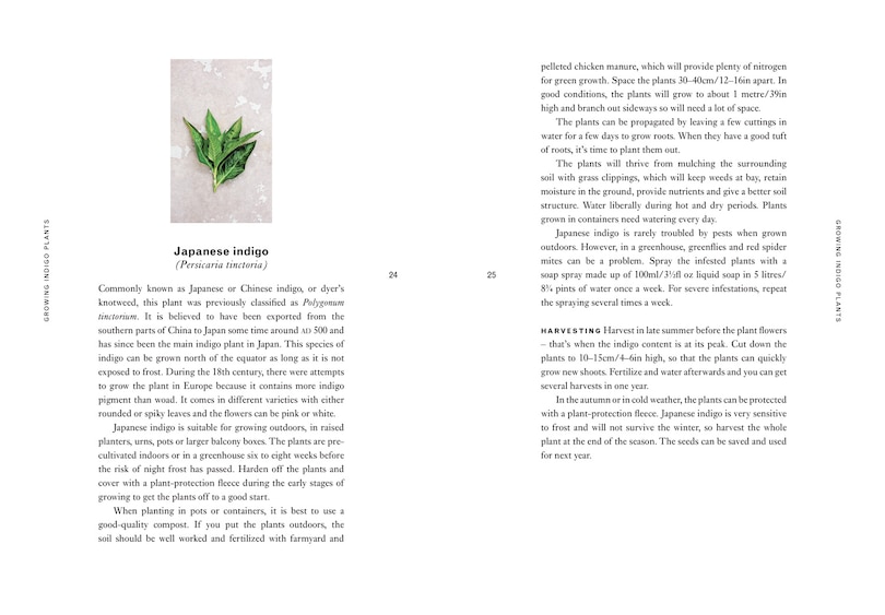 Sample content 4_Indigo