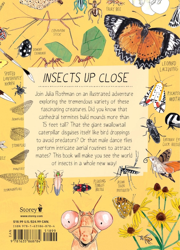 Couverture arrière_Insect Anatomy