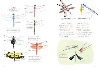 Aperçu du contenu_Insect Anatomy