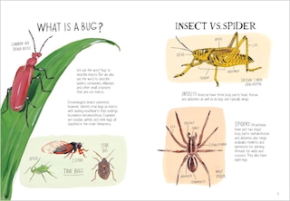 Aperçu du contenu 4_Insect Anatomy