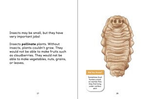 Aperçu du contenu_Insects Of The Arctic: What Is An Insect?