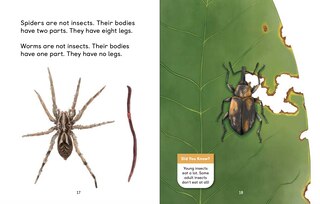 Aperçu du contenu 5_Insects Of The Arctic: What Is An Insect?