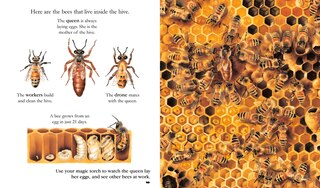 Aper&ccedil;u du contenu_Insects