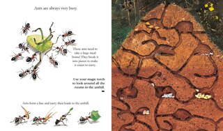 Aper&ccedil;u du contenu 2_Insects