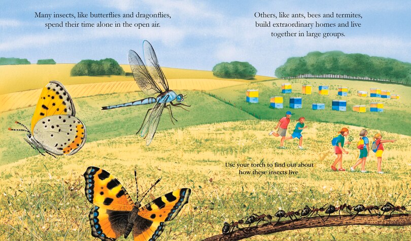 Aper&ccedil;u du contenu 3_Insects