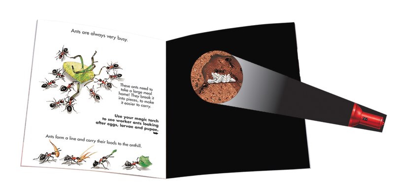 Aper&ccedil;u du contenu 4_Insects