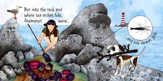 Sample content_Into the Blue