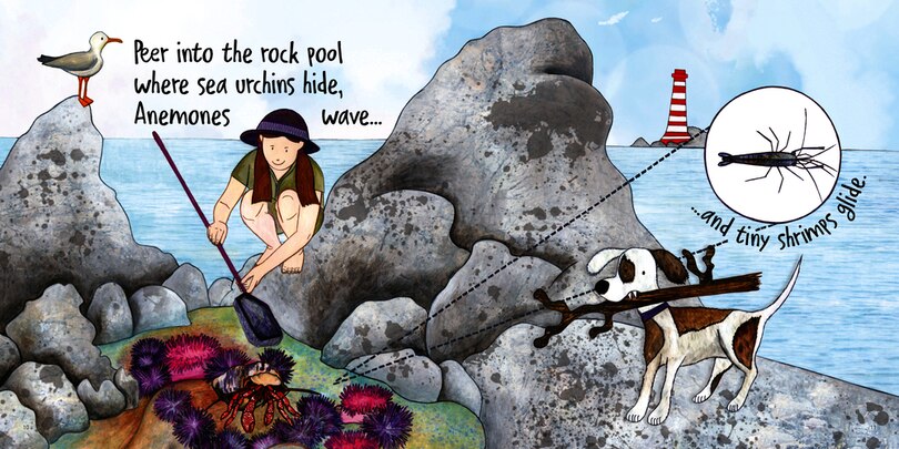 Sample content_Into the Blue