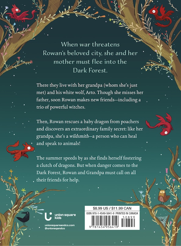 Couverture arrière_Into the Dark Forest