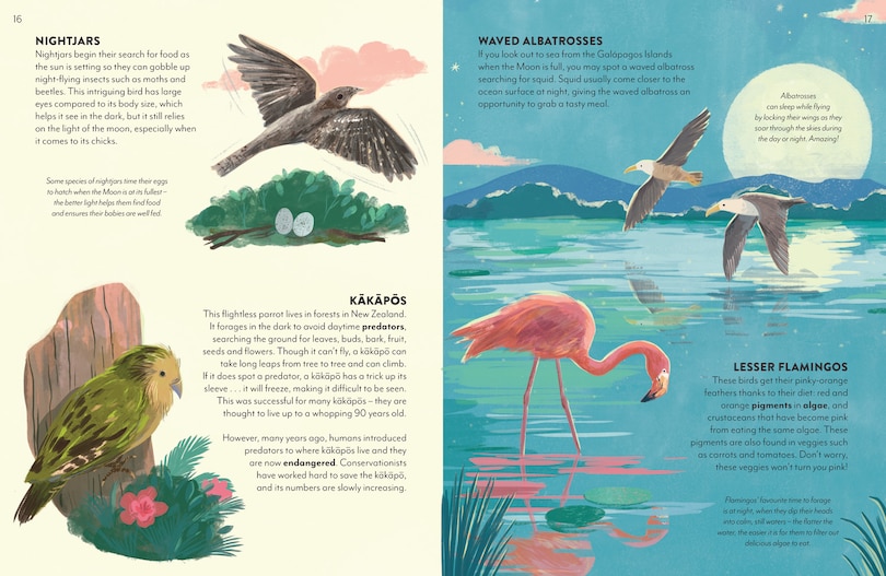 Aper&ccedil;u du contenu_Into the Dark