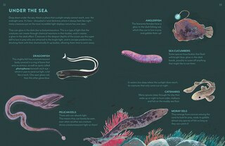 Aper&ccedil;u du contenu 3_Into the Dark