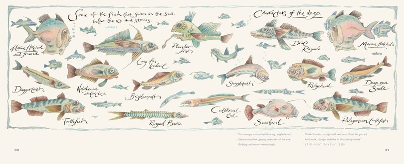 Aper&ccedil;u du contenu_Into the Ice: Reflections on Antarctica