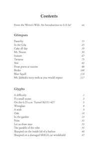 Aper&ccedil;u du contenu 2_Is It So?