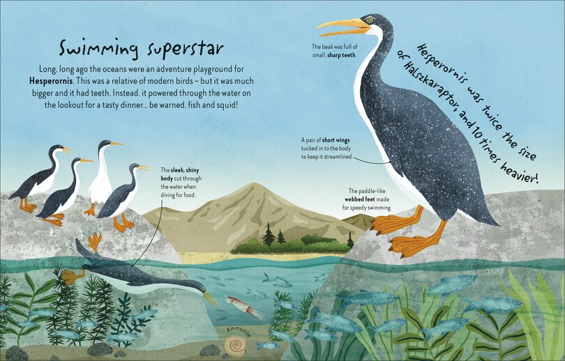 Aperçu du contenu 2_Time to Explore Dinosaurs