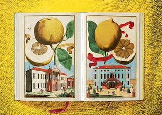 Sample content 2_J. C. Volkamer. The Book Of Citrus Fruits