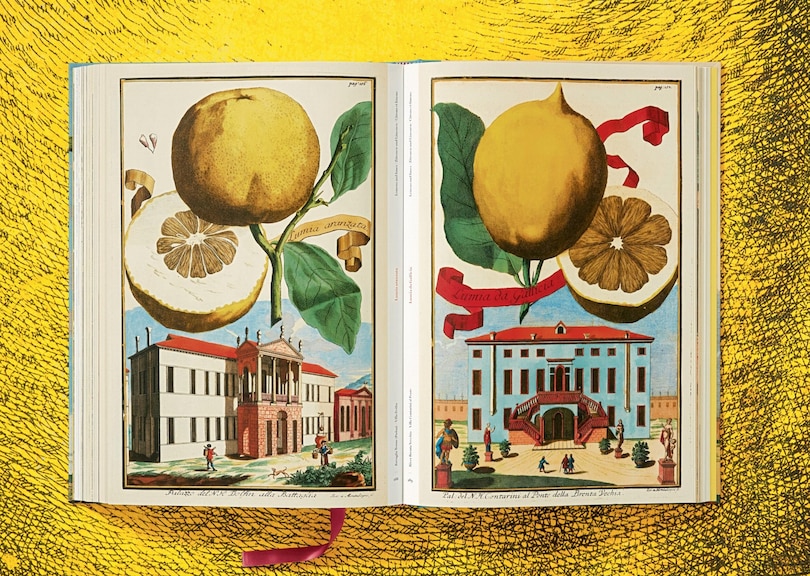 Sample content 2_J. C. Volkamer. The Book Of Citrus Fruits