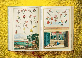 Sample content 5_J. C. Volkamer. The Book Of Citrus Fruits