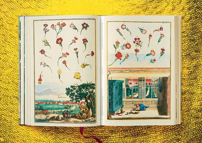 Sample content 5_J. C. Volkamer. The Book Of Citrus Fruits