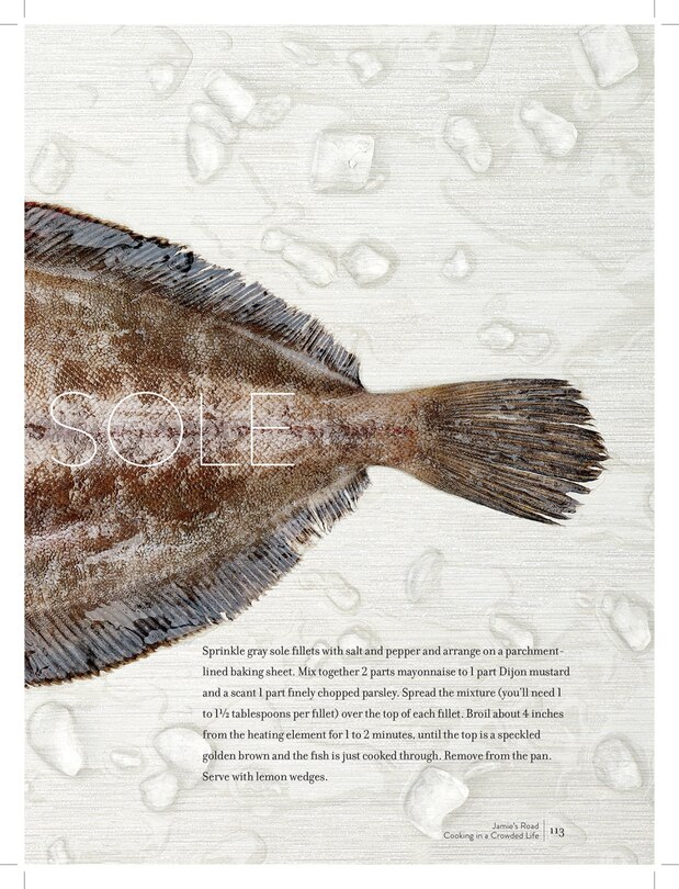 Aper&ccedil;u du contenu_Jamie's Road