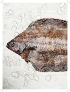 Aper&ccedil;u du contenu 2_Jamie's Road