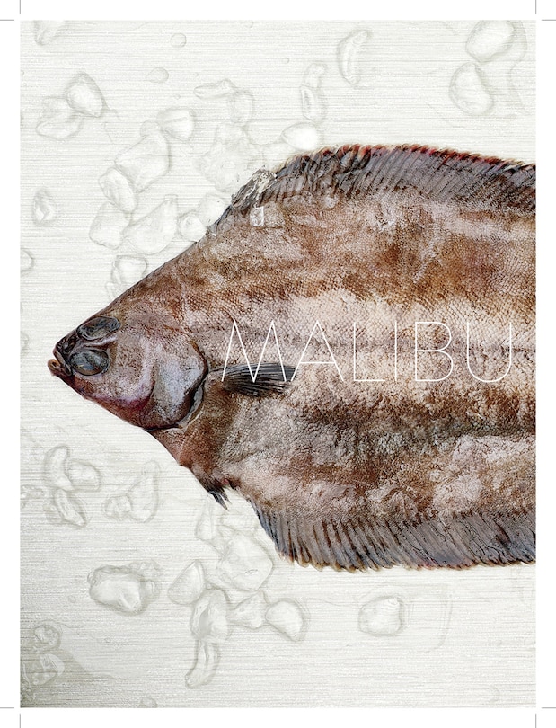 Aper&ccedil;u du contenu 2_Jamie's Road