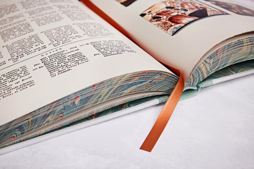 Aper&ccedil;u du contenu_Jan Christiaan Sepp. The Book of Marble