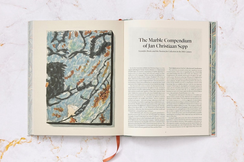 Aper&ccedil;u du contenu 3_Jan Christiaan Sepp. The Book of Marble