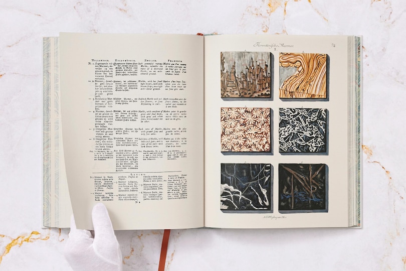 Aper&ccedil;u du contenu 5_Jan Christiaan Sepp. The Book of Marble