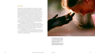 Aperçu du contenu_Jane Goodall: 50 Years at Gombe
