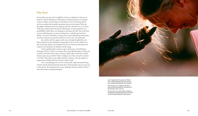 Aperçu du contenu_Jane Goodall: 50 Years at Gombe