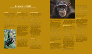 Aperçu du contenu 2_Jane Goodall: 50 Years at Gombe