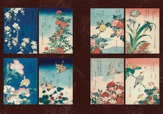 Sample content 4_Japanese Flowers