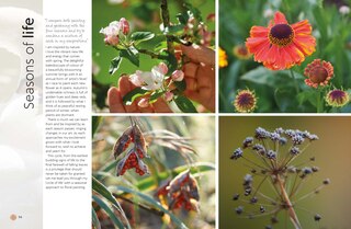 Sample content_Jean Haines' Atmospheric Flowers in Watercolour