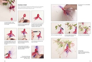 Sample content 2_Jean Haines Colour & Light in Watercolour