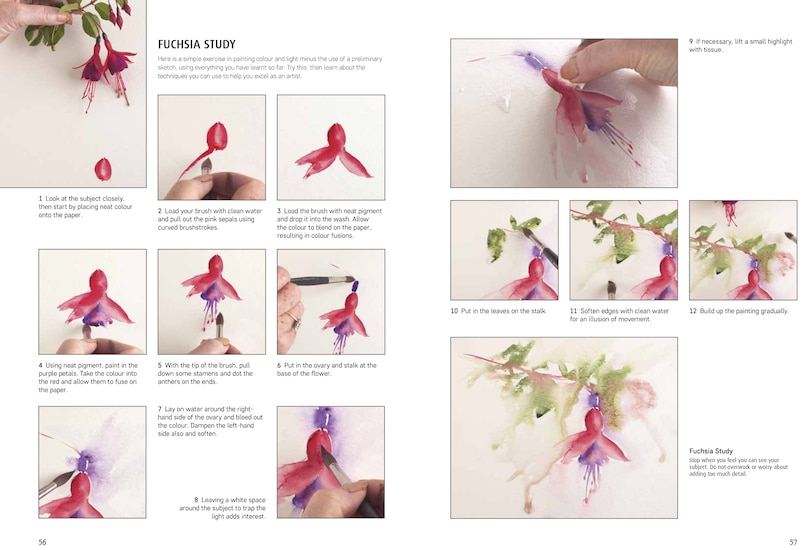 Sample content 2_Jean Haines Colour & Light in Watercolour