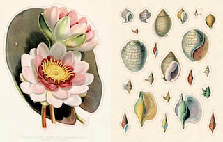 Sample content_John Derian Sticker Book II