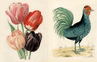 Sample content 2_John Derian Sticker Book II