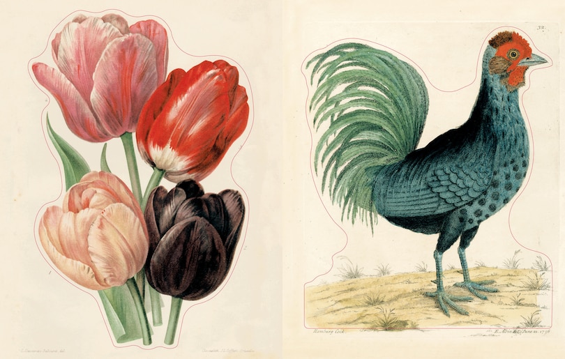 Sample content 2_John Derian Sticker Book II