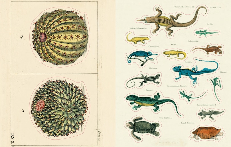 Sample content 3_John Derian Sticker Book II