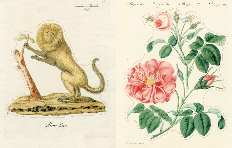 Sample content 5_John Derian Sticker Book II