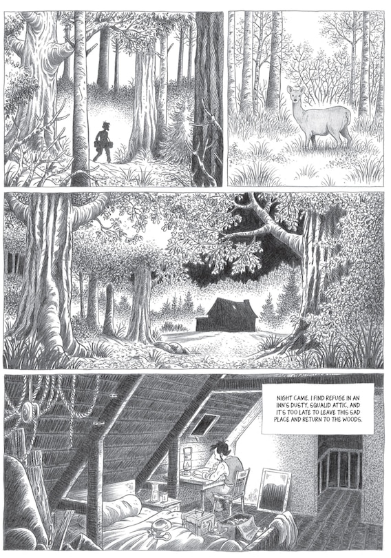 Aper&ccedil;u du contenu 3_John Muir