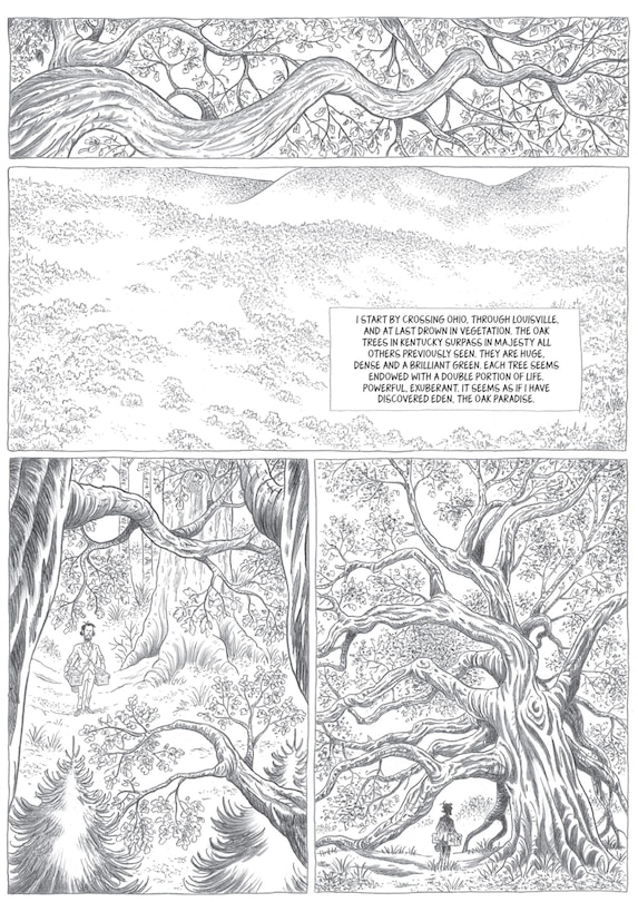 Aper&ccedil;u du contenu 4_John Muir