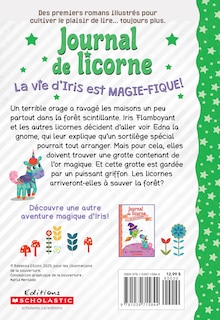 Aper&ccedil;u du contenu_Journal de licorne : N˚ 11 - &Agrave; la recherche de l&rsquo;or perdu